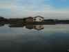 Pond Reflecting